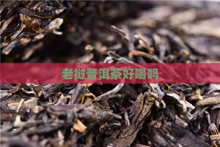 老挝普洱茶好喝吗