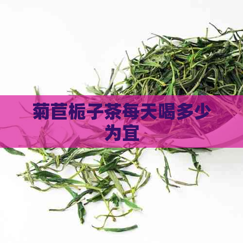 菊苣栀子茶每天喝多少为宜