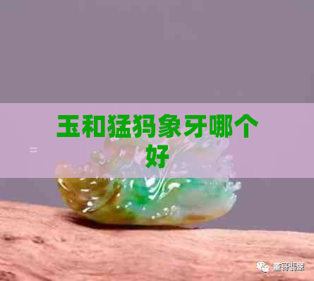 玉和猛犸象牙哪个好