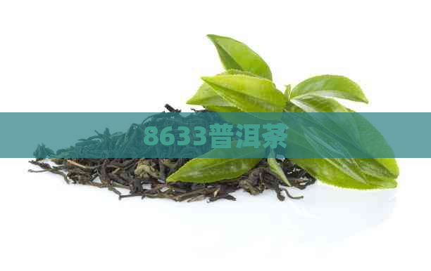 8633普洱茶