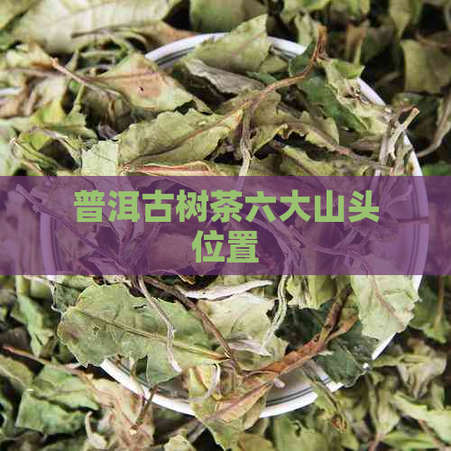 普洱古树茶六大山头位置