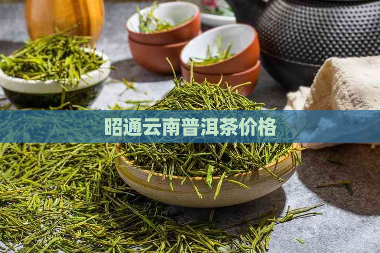 昭通云南普洱茶价格