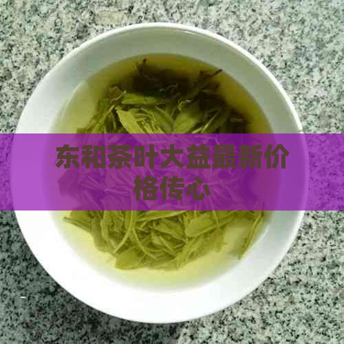 东和茶叶大益最新价格传心