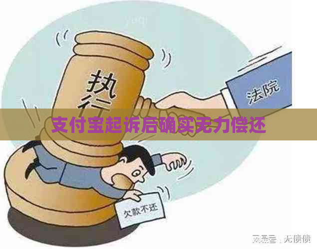 支付宝起诉后确实无力偿还