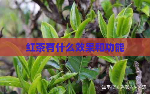 红茶有什么效果和功能