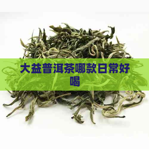 大益普洱茶哪款日常好喝