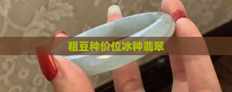 粗豆种价位冰种翡翠