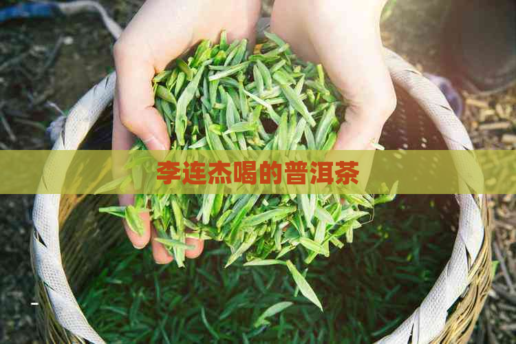 李连杰喝的普洱茶