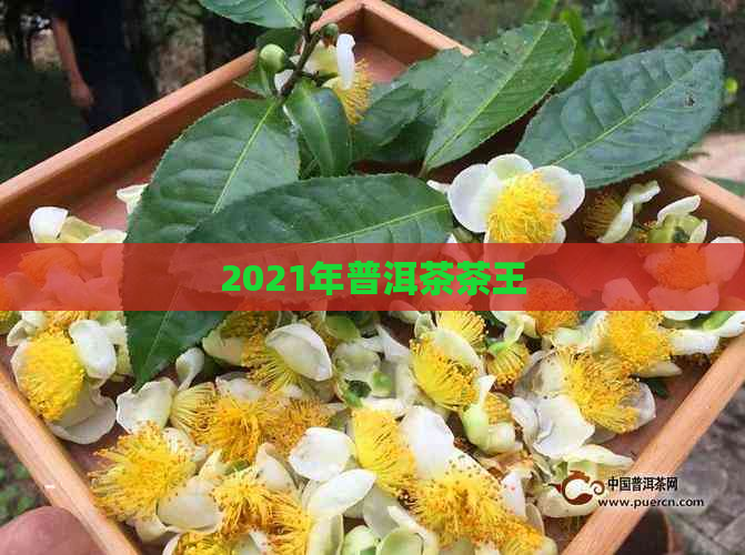 2021年普洱茶茶王