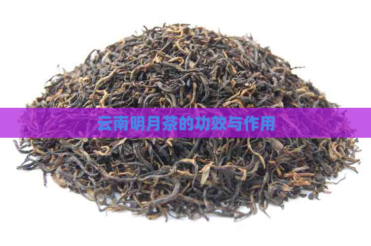 云南明月茶的功效与作用