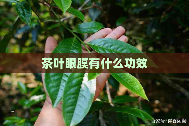 茶叶眼膜有什么功效