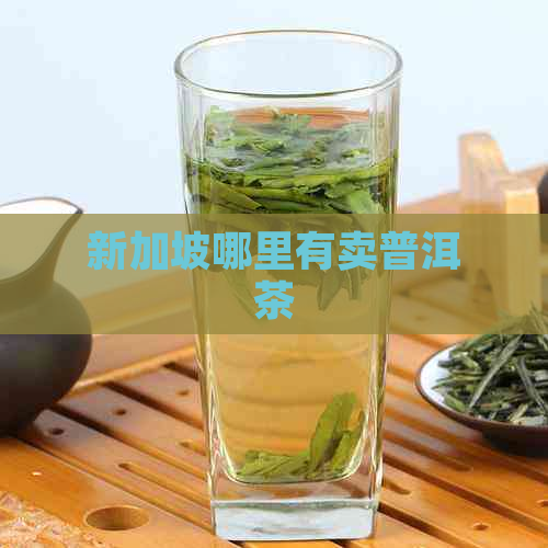 新加坡哪里有卖普洱茶