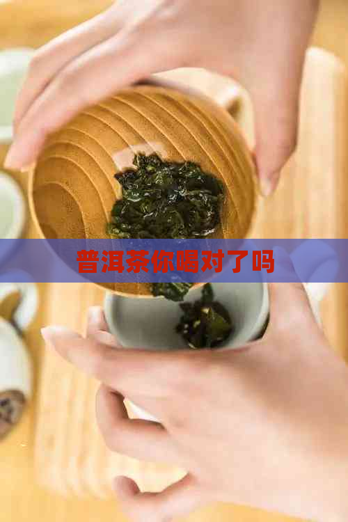 普洱茶你喝对了吗