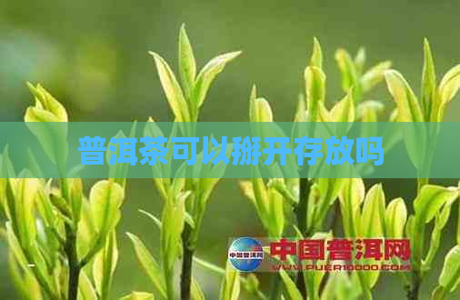 普洱茶可以掰开存放吗