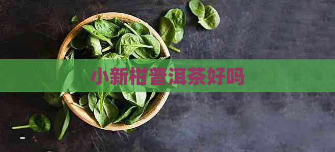 小新柑普洱茶好吗