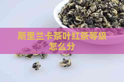 斯里兰卡茶叶红茶等级怎么分