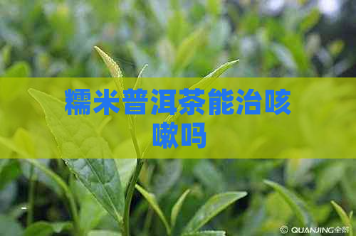 糯米普洱茶能治咳嗽吗