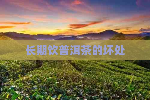 长期饮普洱茶的坏处