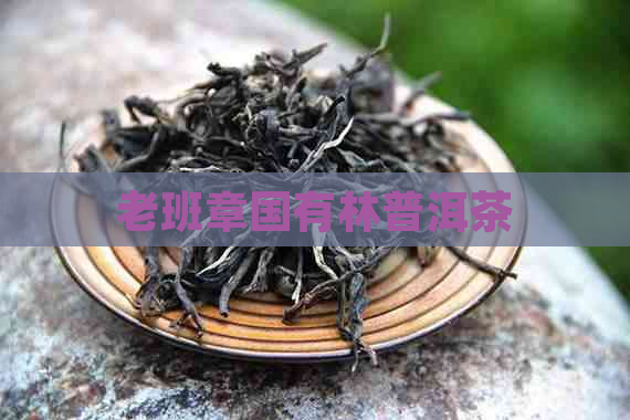 老班章国有林普洱茶