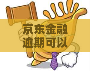 京东金融逾期可以本金分期吗需知事项