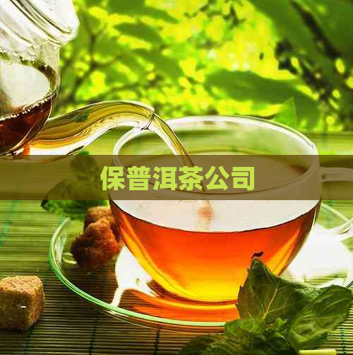 保普洱茶公司