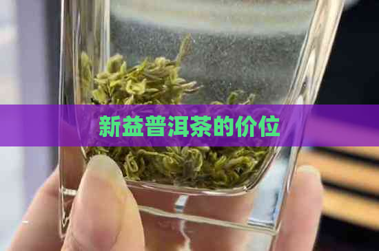 新益普洱茶的价位