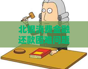 北银消费金融还款困难问题应该怎么解决