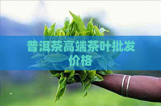 普洱茶高端茶叶批发价格