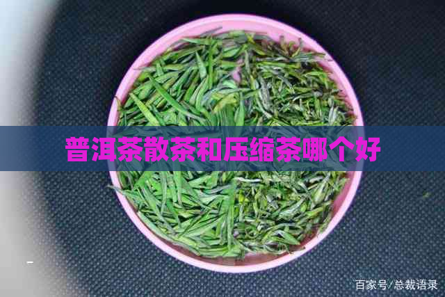 普洱茶散茶和压缩茶哪个好