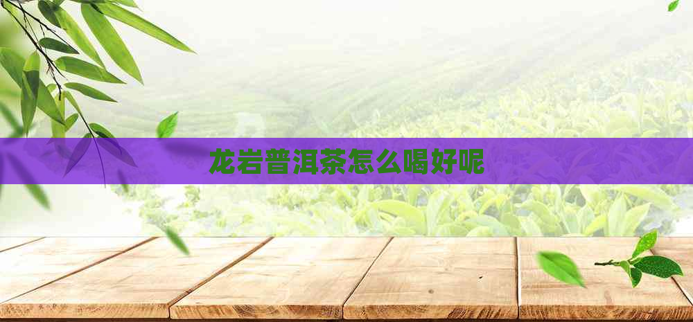 龙岩普洱茶怎么喝好呢