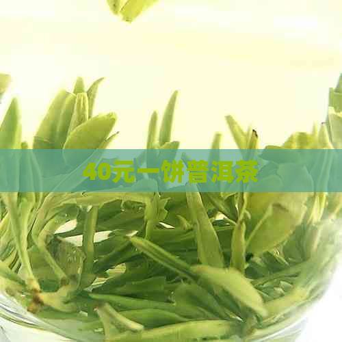 40元一饼普洱茶