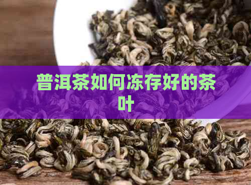 普洱茶如何冻存好的茶叶