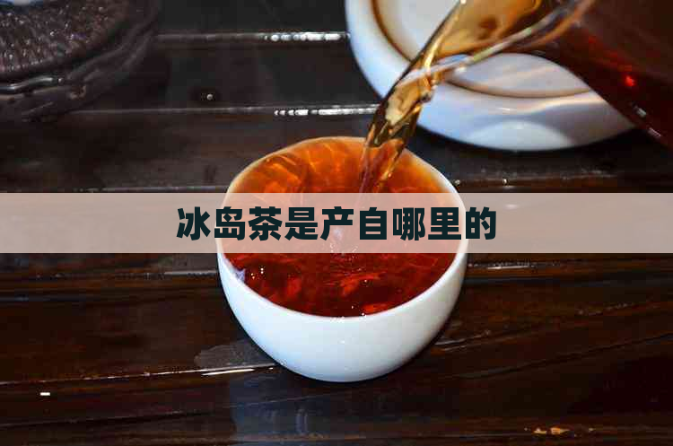 冰岛茶是产自哪里的