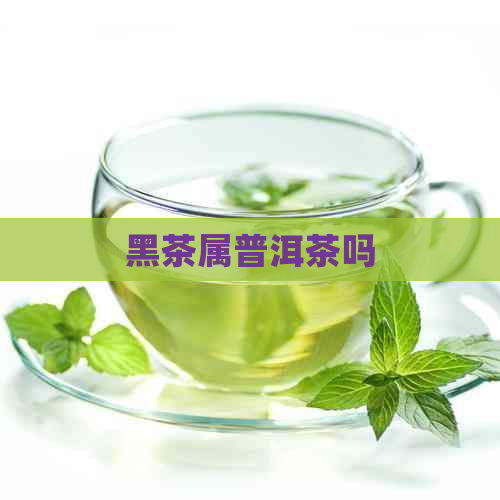 黑茶属普洱茶吗