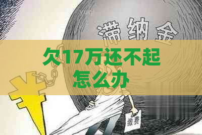 欠17万还不起怎么办