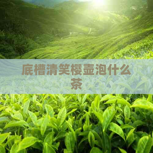 底槽清笑樱壶泡什么茶