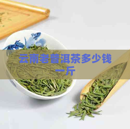 云南老普洱茶多少钱一斤