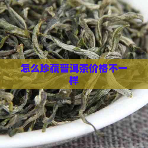 怎么珍藏普洱茶价格不一样