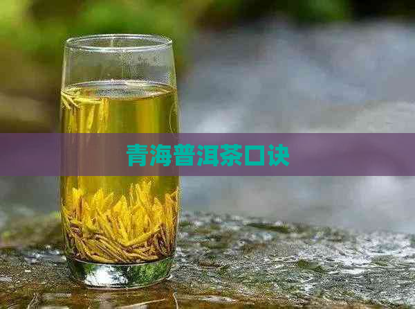 青海普洱茶口诀