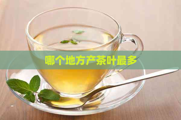 哪个地方产茶叶最多