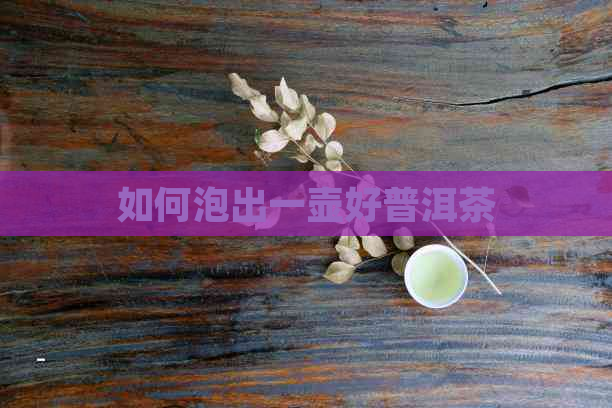 如何泡出一壶好普洱茶