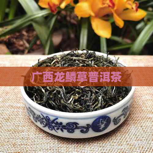 广西龙鳞草普洱茶