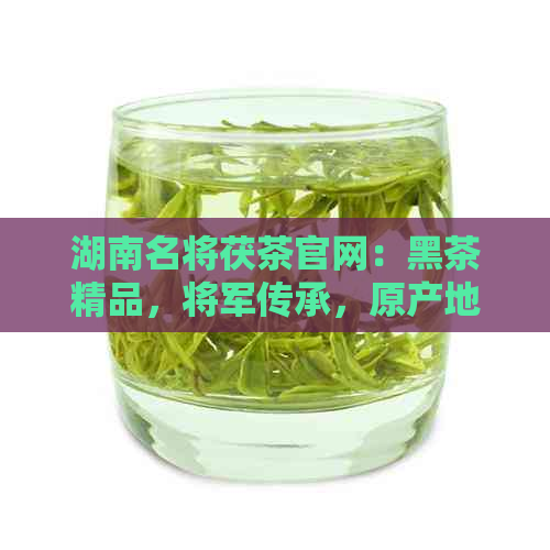 湖南名将茯茶官网：黑茶精品，将军传承，原产地直供