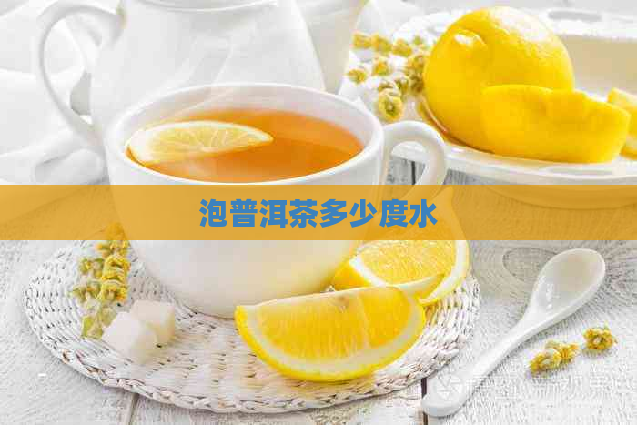 泡普洱茶多少度水