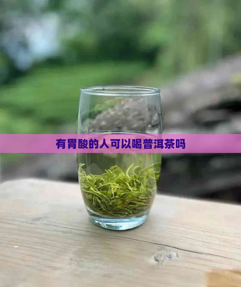 有胃酸的人可以喝普洱茶吗