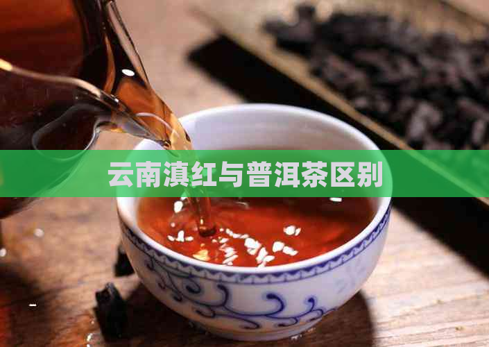 云南滇红与普洱茶区别