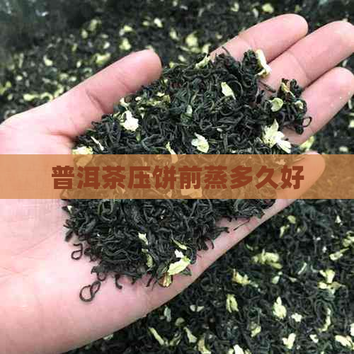 普洱茶压饼前蒸多久好