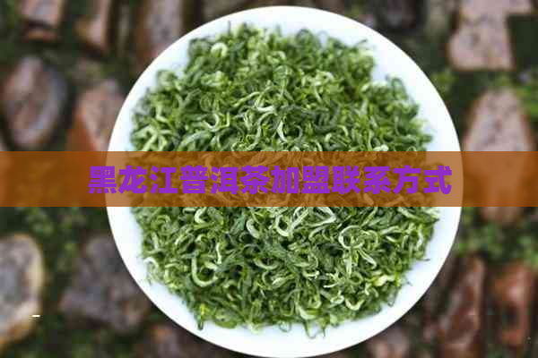 黑龙江普洱茶加盟联系方式