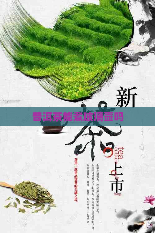 普洱茶能煮玻璃壶吗