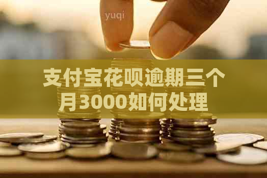 支付宝花呗逾期三个月3000如何处理